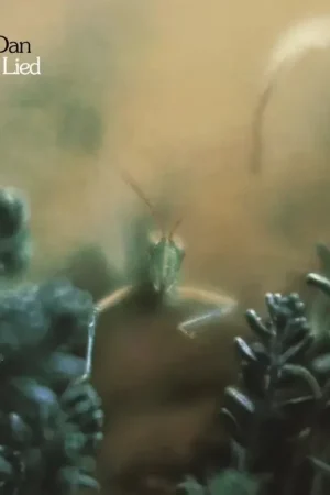 Free Shipping Steely Dan - Katy Lied