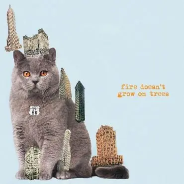 The Brian Jonestown Massacre - Fire Doesn’t Grow On Trees Genuine