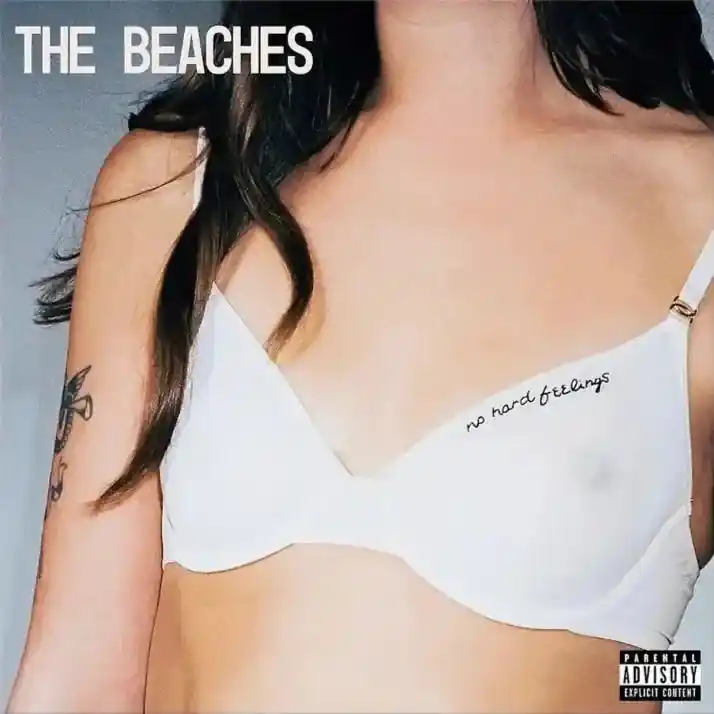 Worldwide Shipping The Beaches - No Hard Feelings