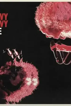 Buy Online The Heavy Heavy - Live