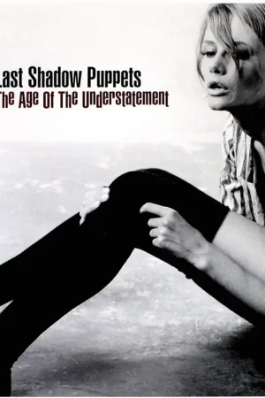 Hassle-Free Returns The Last Shadow Puppets - Age of the Understatement
