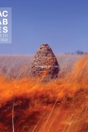 The Maccabees - Given To The Wild Hot Picks