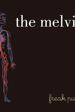 Free Shipping The Melvins - Freak Puke