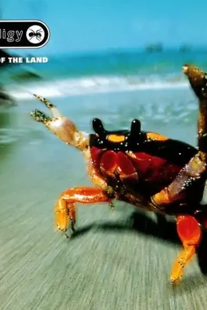 Must Have The Prodigy - The Fat Of The Land