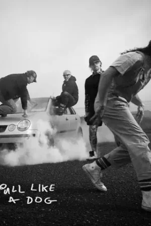 The Scratch - Pull Like a Dog Grab Now