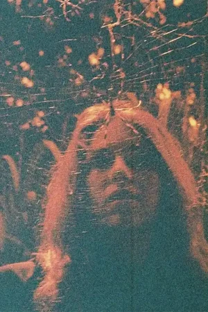 Turnover - Peripheral Vision (10 Year Anniversary Edition) Modern