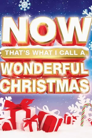 Authentic Various - NOW That's What I Call A Wonderful Christmas