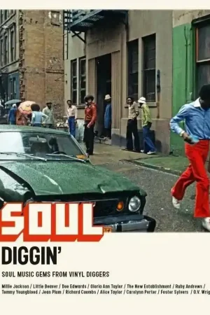 Various - Soul Diggin Soul Music Gems From Vinyl Diggers Fast Shipping