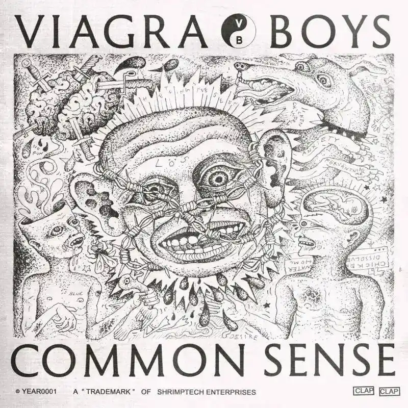 Best Choice Viagra Boys - Common Sense