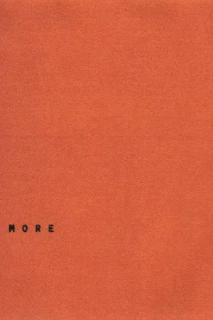 Place Order Wallows - More