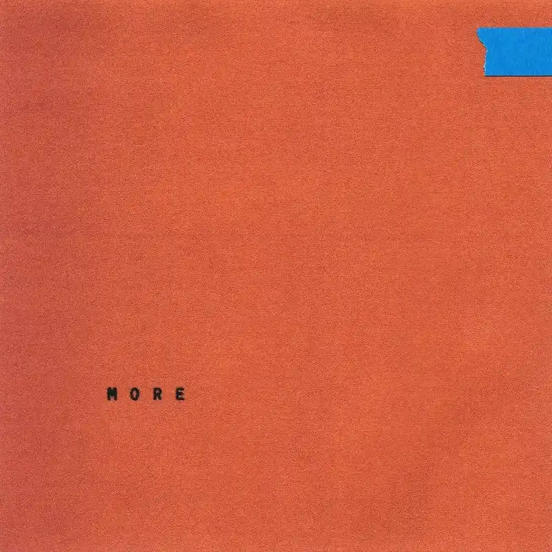 Place Order Wallows - More