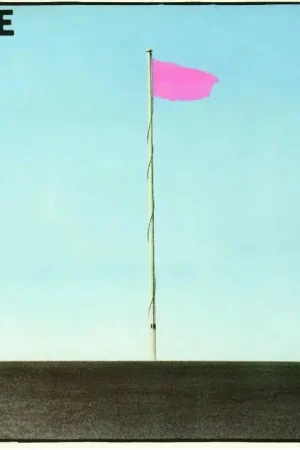 Bargain Wire - Pink Flag