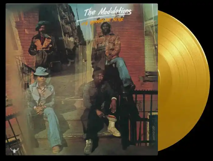 Fast Shipping The Modulations - Its Rough Out Here (180gm coloured) - LP, Vinyl Music - Music On Vinyl