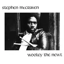 Stephen McCraven - Wooley the Newt - LP, Vinyl Music - Moved By Sound Modern