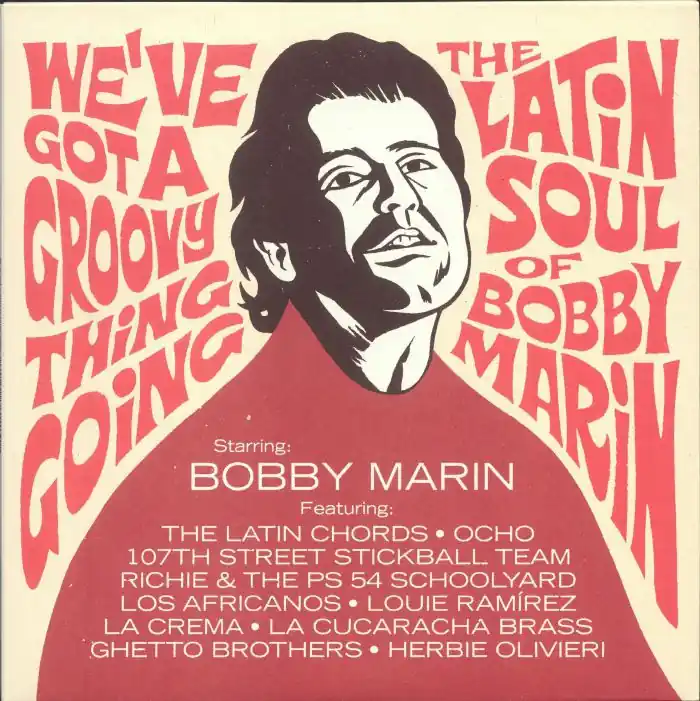 Various Artists - Weve Got A Groovy Thing Going - The Latin Soul Of Bobby Marin - LP, Vinyl Music - Vampi Soul Trending