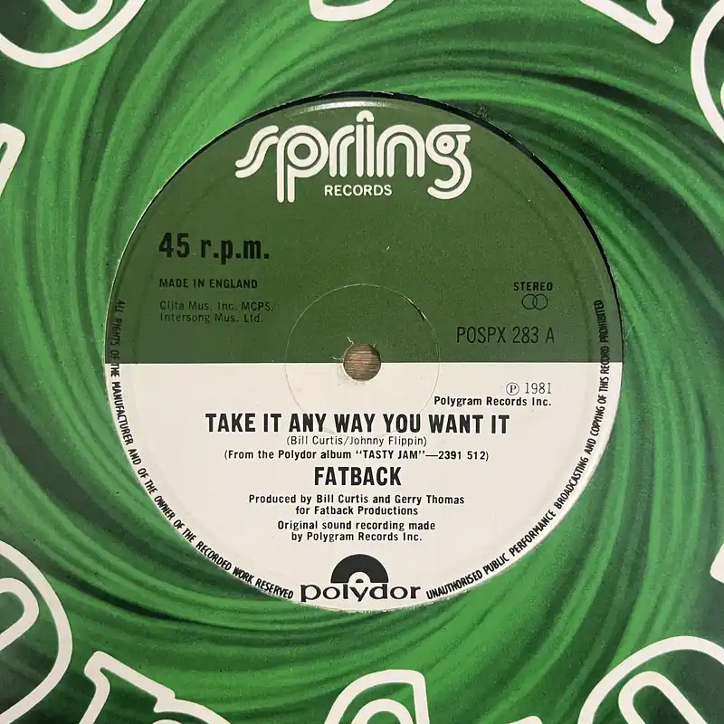 Fatback - Take It Any Way You Want It | Lady Groove - 12" Single, Vinyl Music - Spring Special Offer