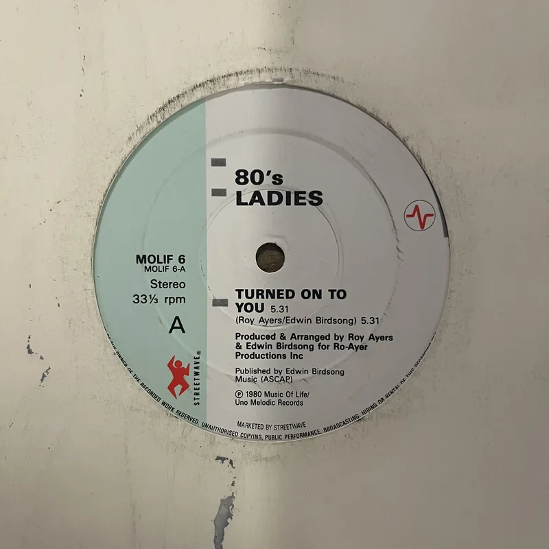 80'S Ladies - Turned On To You - 12" Single, Vinyl Music - Streetwave Last Chance