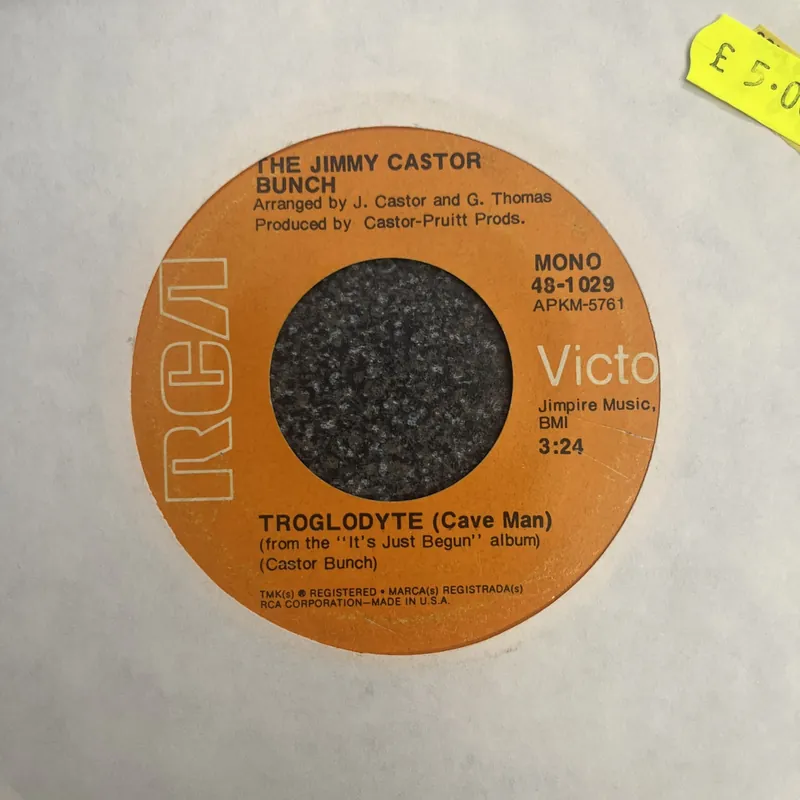 Free Shipping The Jimmy Castor Bunch - Troglodyte | I Promise To Remember - 7" single, Vinyl Music - Rca