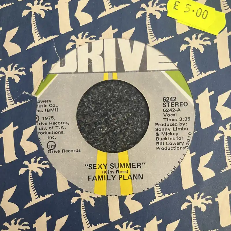 Family Plann - Sexy Summer | Can You Get Into The Music - 7" single, Vinyl Music - Drive Affordable