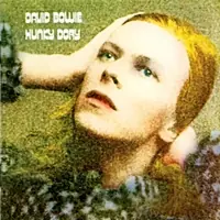 Final Sale David Bowie - Hunky Dory(180gm) - LP, Vinyl Music - Plg Uk