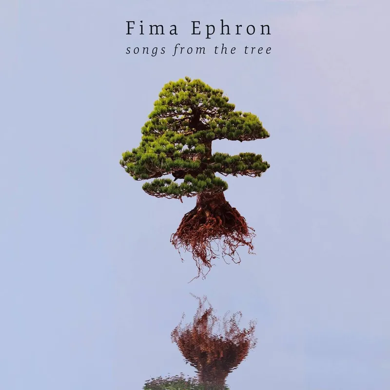 Fima Ephron - Songs From The Tree - CD Music - Ropeadope Bulk Order