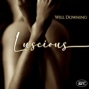 Price Cut Will Downing - Luscious - CD Music - Sophisticed Soul