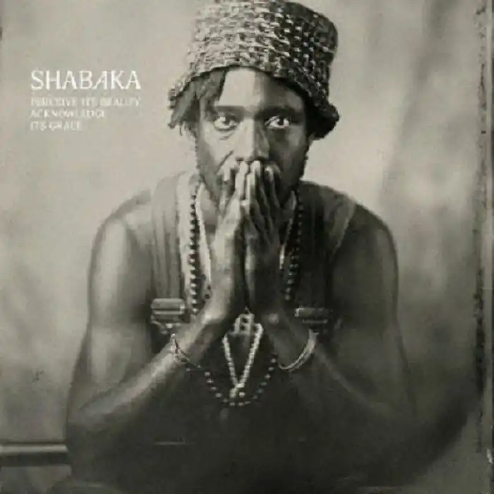 Shabaka - Perceive Its Beauty Acknowledge Its Grace - LP, Vinyl Music - Impulse Big Sale