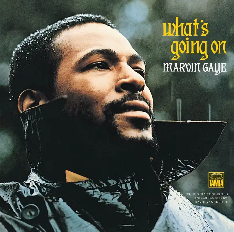 Marvin Gaye - What's Going On (180Gm) - LP, Vinyl Music - Tamla Popular