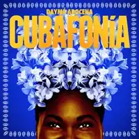 Cheap Dayme Arocena - Cubafonia - LP, Vinyl Music - Brownswood