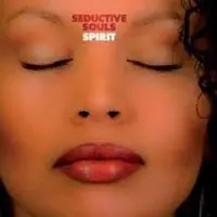 Viral Seductive Souls - Spirit - CD Music - Lounge