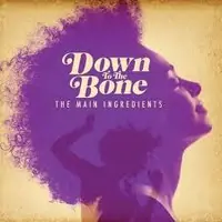Down To The Bone - The Main Ingredients - CD Music - Dome Big Sale