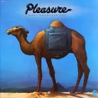 Limited Time Pleasure - Dust Yourself Off - CD Music - Bgp