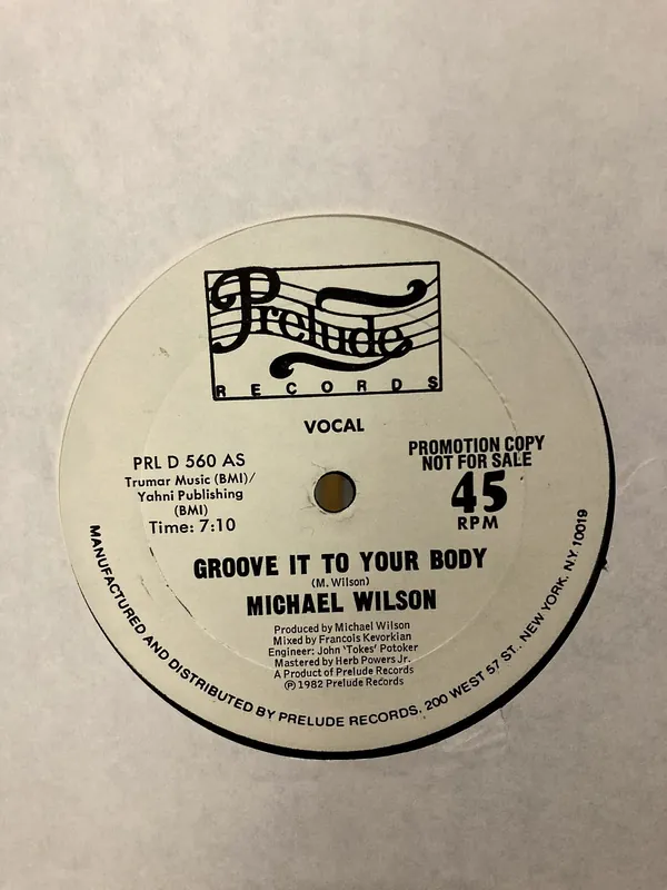 Discount Michael Wilson - Groove It Your Body - 12" Single, Vinyl Music - Prelude