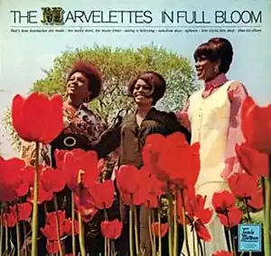 Marvelettes - In Full Bloom - LP, Vinyl Music - Tamla Motown Special Discount