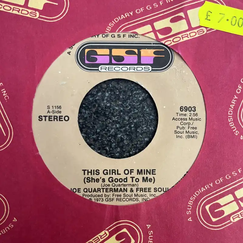 Joe Quarterman & Free Soul - This Girl Of Mine | I Feel Like This - 7" single, Vinyl Music - Gsf Get Yours