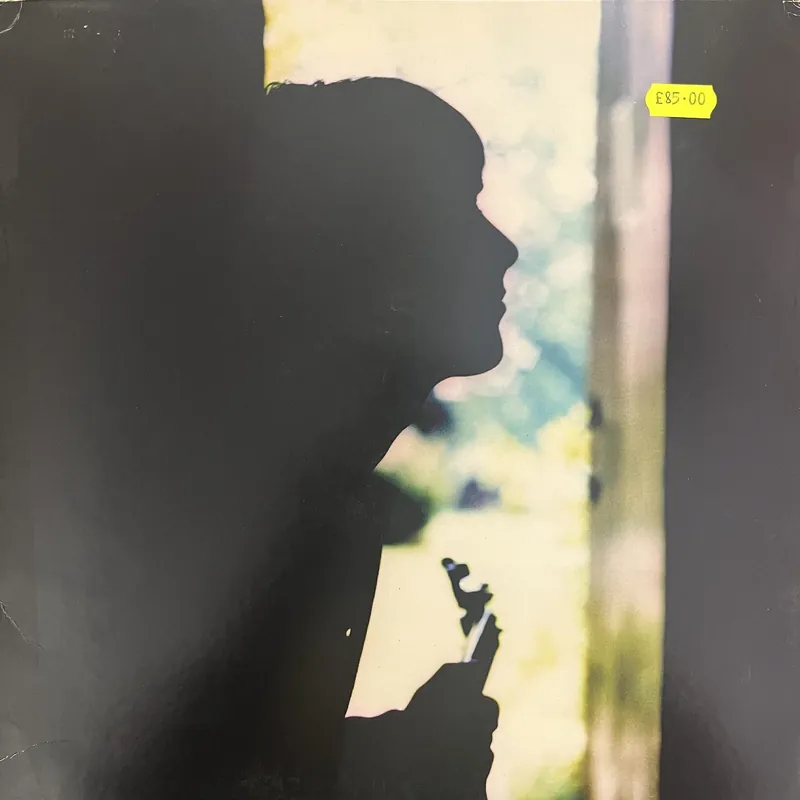 Deal Paul Weller - Wild Wood - LP, Vinyl Music - Go