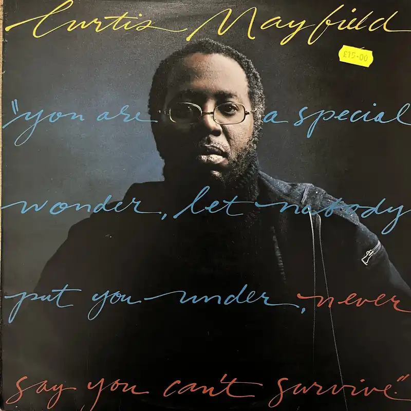 Curtis Mayfield - Never Say You Cant Survive - LP, Vinyl Music - Curtom Editor’s Pick