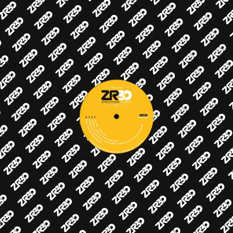 Various Artists - Dave Lee Presents 30 Years Of Z Ep2 - 12" Single, Vinyl Music - Z Records Popular