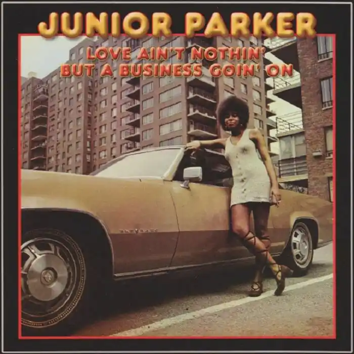 Final Sale Junior Parker - Love Aint Nothing But A Business Goin On - LP, Vinyl Music - Mr Bongo