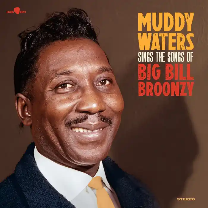New Release Muddy Waters - Sings The Songs Of Big Bill Broonzy - LP Music - Blues Joint