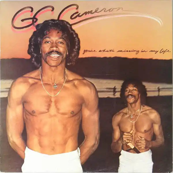 G.C. Cameron : You're What's Missing In My Life LP, Album (VG+ / VG+) - Dig Vinyl Shop Now