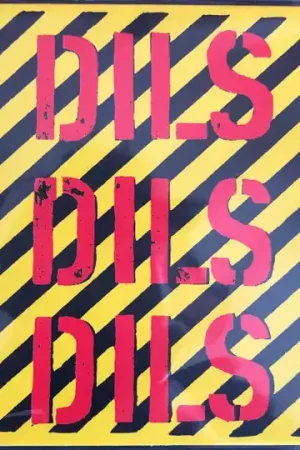 The Dils : Dils Dils Dils CD, Comp, RE (M / M) - Dig Vinyl Express Delivery
