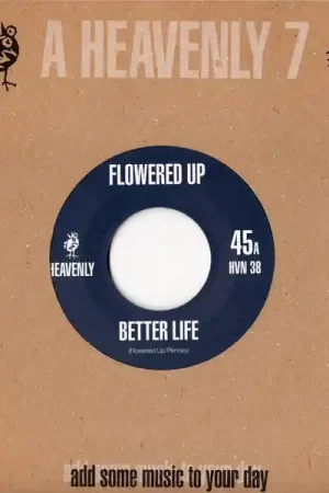 Flowered Up : Better Life 7" (VG+ / VG+) - Dig Vinyl Popular