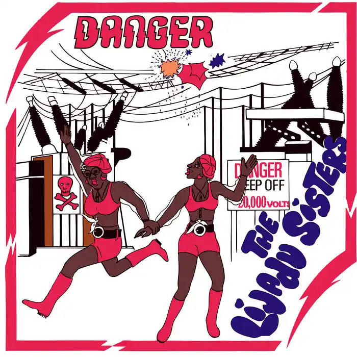 Free Delivery The Lijadu Sisters* : Danger LP, Album, RE, Tel (M / M) - Dig Vinyl