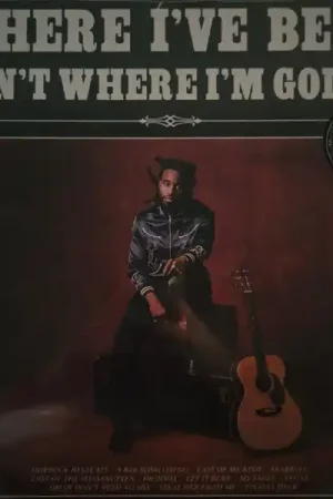 Professional Grade Shaboozey : Where I've Been, Isn't Where I'm Going LP, Album (M / M) - Dig Vinyl