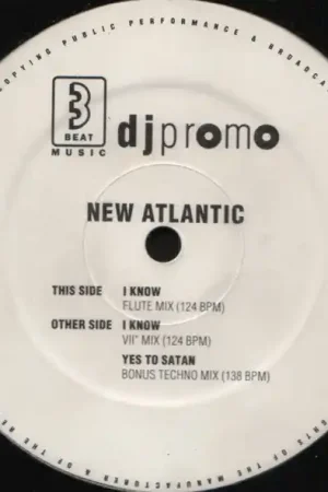 Must Have New Atlantic : I Know 12", Promo (VG / Generic) - Dig Vinyl