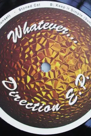 Krysko & Mr. Statistic : Whatever... Direction E.P. 12", EP (VG+ / Generic) - Dig Vinyl Limited Edition