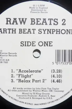 Save Now Earth Beat Synphonic / The Movement : Raw Beats 2 12" (VG / Generic) - Dig Vinyl