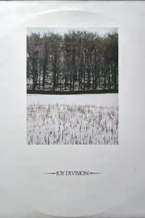 Next Day Delivery Joy Division : Atmosphere 12", Single, Gre (VG+ / VG+) - Dig Vinyl