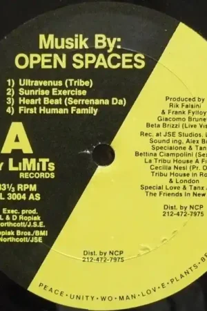 Open Spaces : Musik By: Open Spaces LP (VG / Generic) - Dig Vinyl Genuine